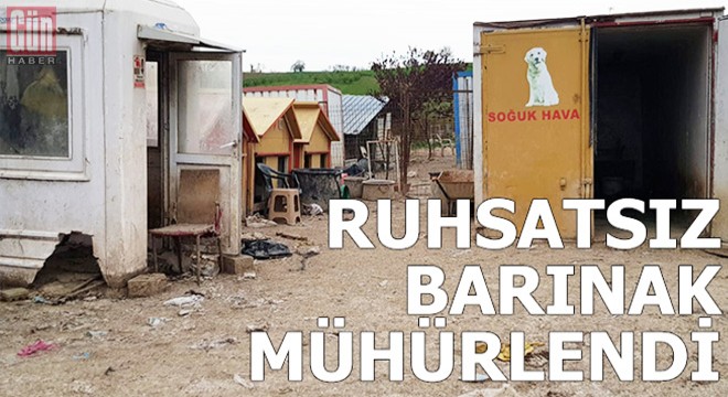 250 köpeğin bulunduğu ruhsatsız barınak mühürlendi