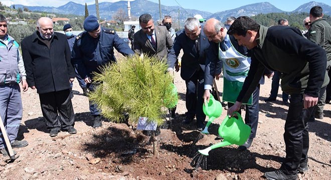 250 şehit anısına 250 fidan dikildi