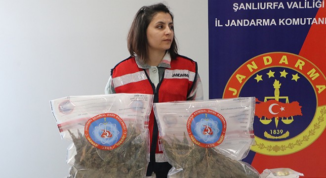3 ilde 'Kökünü Kurutma' operasyonu: 81 gözaltı