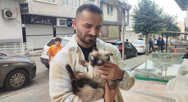 3. kattan düşen kediyi havada yakaladı
