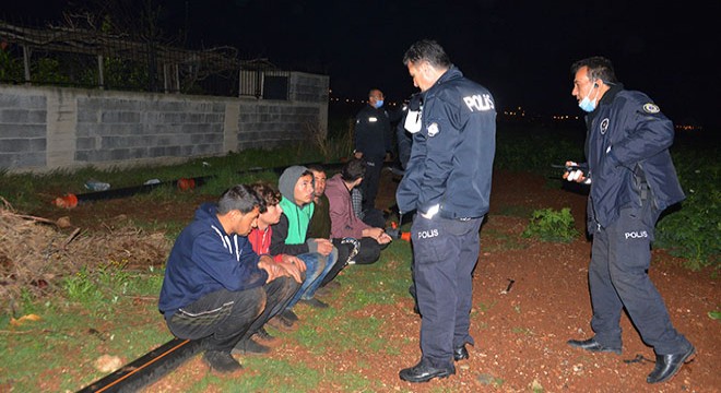 30 kilometre kaçtılar, patates tarlasında yakalandılar