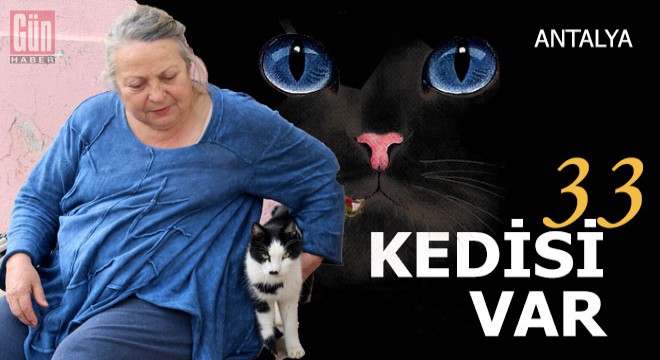 33 kedisine bakabilmek için müstakil eve taşındı