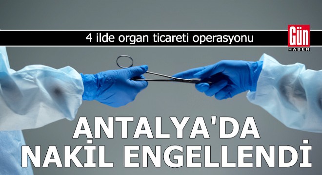 4 ilde organ ticareti operasyonu: 9 gözaltı
