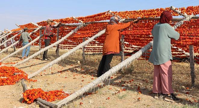 40 dereceyi aşan sıcaklarda 'kurutmalık' mesaisi