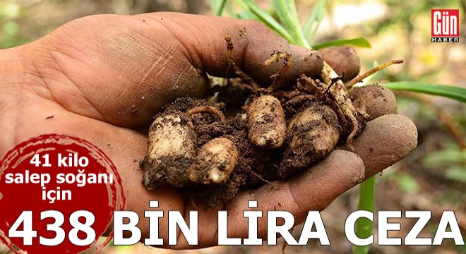 41 kilo salep soğanı toplayan 4 kişiye 438 bin lira ceza