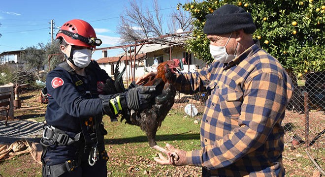 45 metrelik kuyuya düşen horozu, itfaiye kurtardı