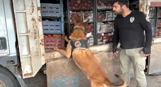 48 ilde 242 uyuşturucu satıcısı yakalandı
