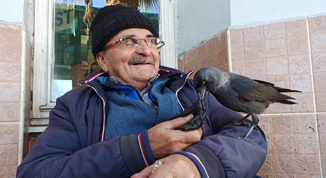 78 yaşındaki ayakkabı boyacısıyla karganın dostluğu