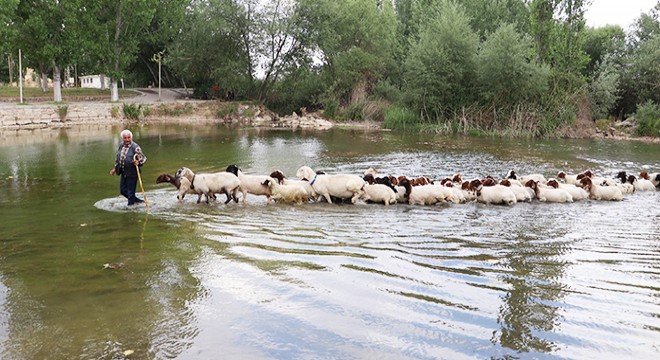 8 asırlık geleneğe, baraj suyu desteği