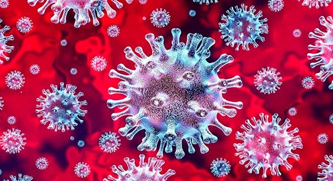 8'inci çocuğunu dünyaya getirdi, koronavirüsten öldü
