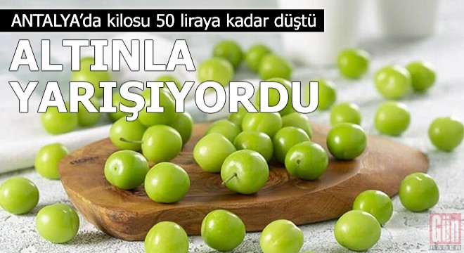 800 liradan satılan eriğin kilosu, 50 liraya kadar düştü