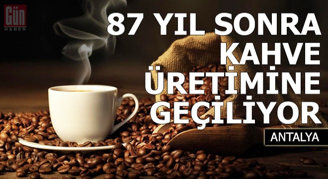 87 yıl sonra kahve üretimine geçiliyor