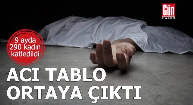 9 ayda 290 kadın katledildi
