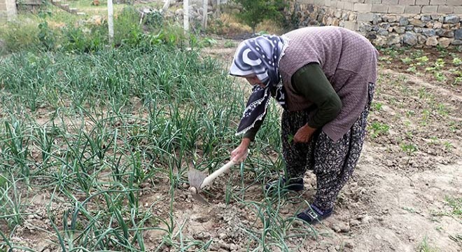 99 yaşında çapasını elinden bırakmıyor