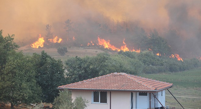 AFAD: Manavgat'taki yangında 30 kişi etkilendi