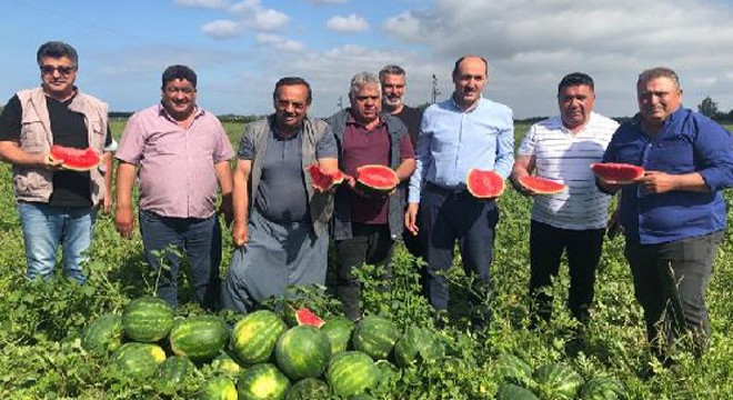 Adana'da karpuz hasadı başladı