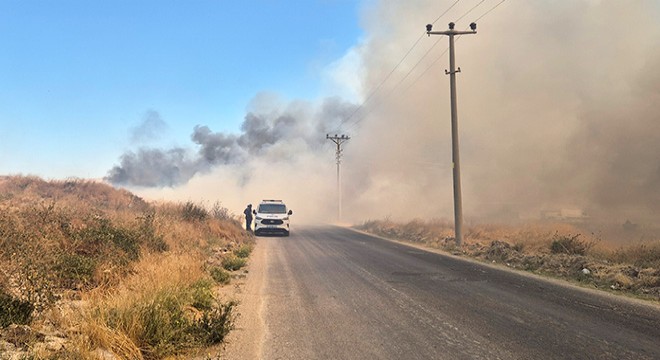 Afyon'da arazi yangını söndürüldü