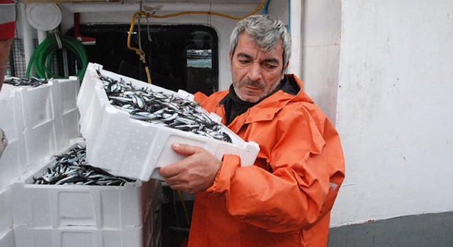 Ağ atan balıkçılar, 375 ton hamsiyle döndü
