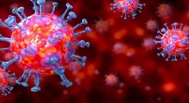 Ağabeyinden 11 gün sonra kendisi de koronavirüsten öldü