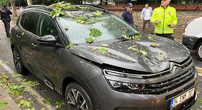 Ağaç, seyir halindeki araçların üzerine devrildi