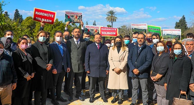 Ak Parti'den ağaç katliamına tepki