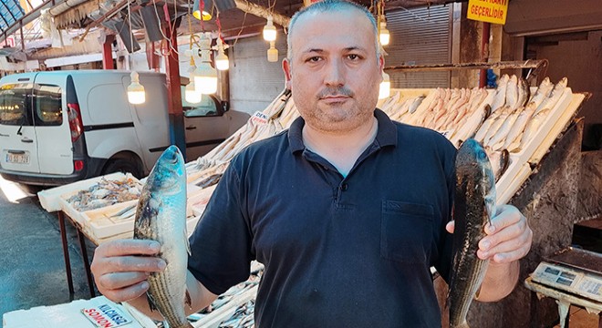 Akdeniz'de av yasağı kalktı, balık fiyatları yüzde 80 düştü