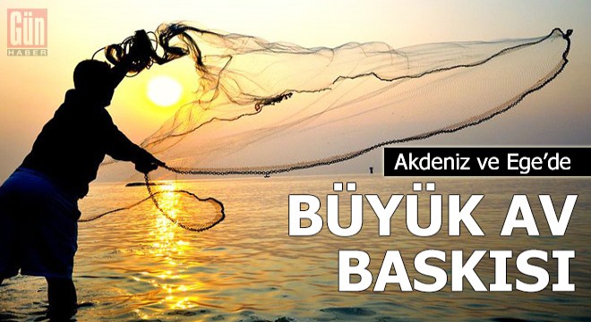 Akdeniz ve Ege'de büyük av baskısı olduğu belirlendi