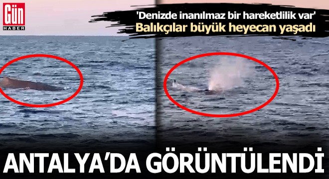 Akdeniz de amatör balıkçılar görüntüledi
