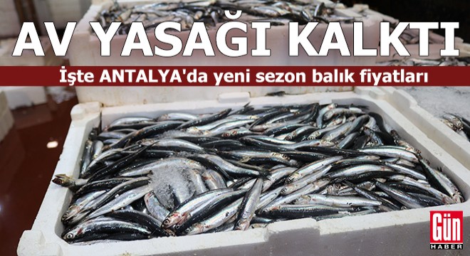 Akdeniz de av yasağı kalktı! Antalya da yeni sezon balık fiyatları