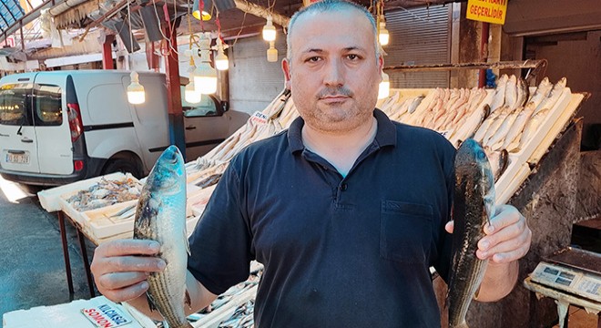 Akdeniz de av yasağı kalktı, balık fiyatları yüzde 80 düştü