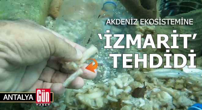 Akdeniz ekosistemine  izmarit  tehdidi