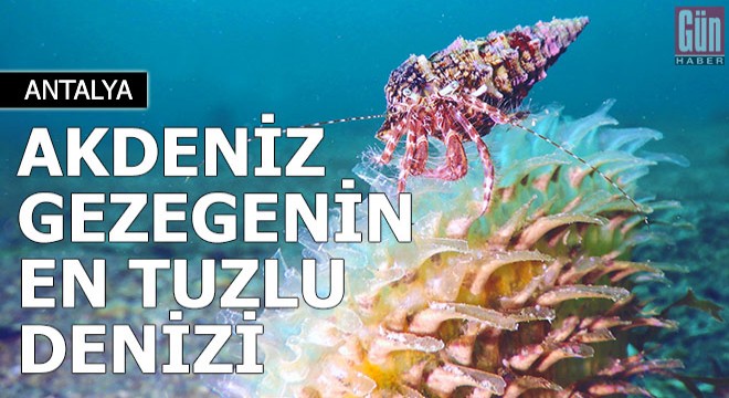 Akdeniz, gezegenin en hızlı ısınan ve en tuzlu denizi haline geldi