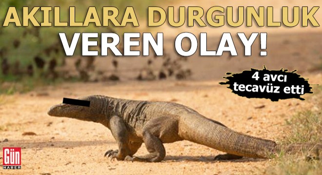 Akıllara durgunluk veren olay! 4 avcı tecavüz etti