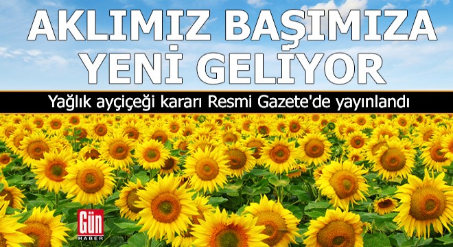 Aklımız başımıza yeni geliyor