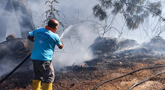 Alanya'da çıkan yangında 2 dönümlük alan zarar gördü