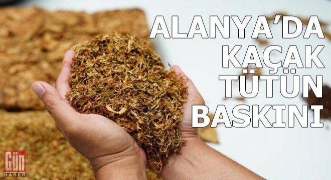 Alanya'da kaçak tütün baskını