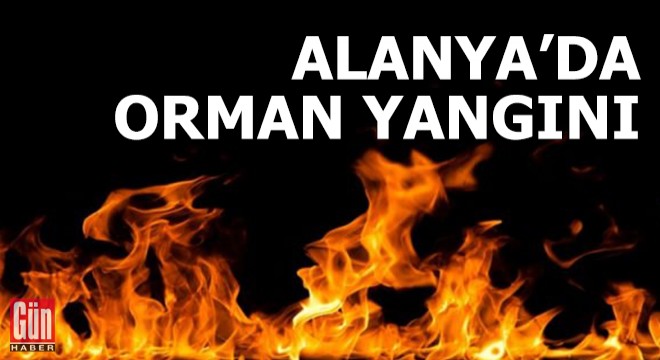 Alanya'da orman yangını