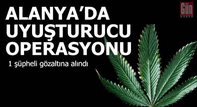 Alanya'da uyuşturucu operasyonu: 1 gözaltı