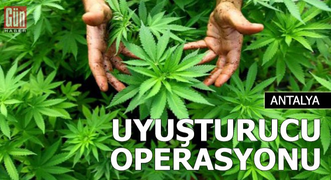 Alanya'da uyuşturucu operasyonu: 1 gözaltı