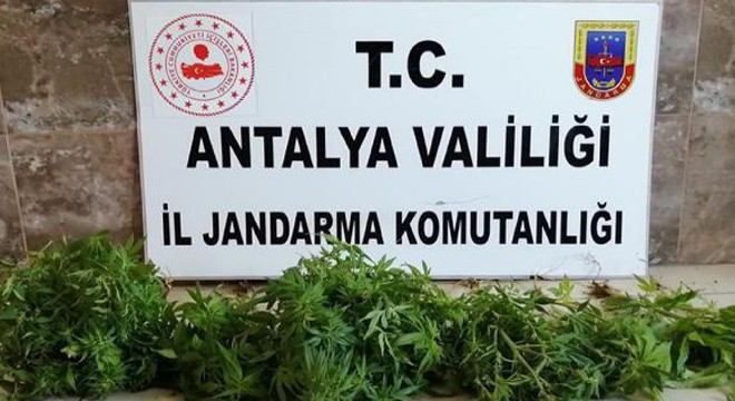 Alanya'da uyuşturucu operasyonu