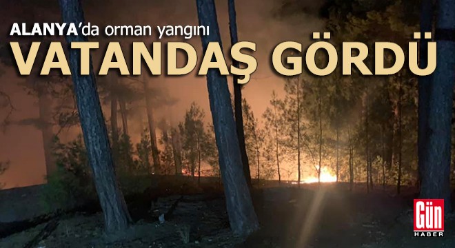 Alanya'daki yangını vatandaş gördü haber verdi