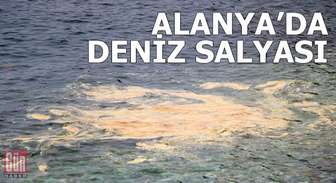 Alanya kıyılarında deniz salyası