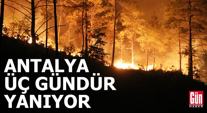 Alanya daki orman yangınında 3 üncü gün