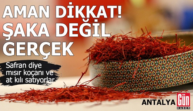 Aman dikkat! Safran diye mısır koçanı ve at kılı satıyorlar