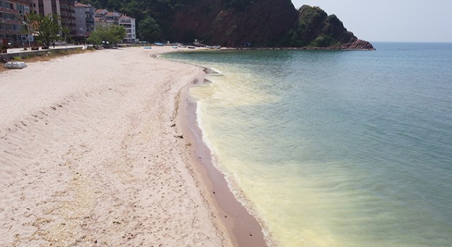 Amasra da deniz kirliliğine inceleme