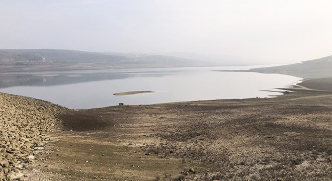 Amik Ovası'nda kuraklık manzaraları ortaya çıktı