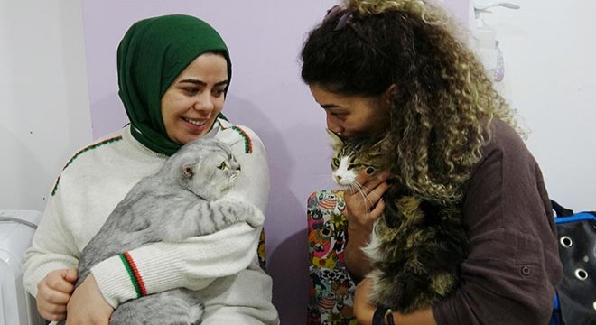 Anemi hastası kedi, donör  Casper ın kanıyla sağlığına kavuştu