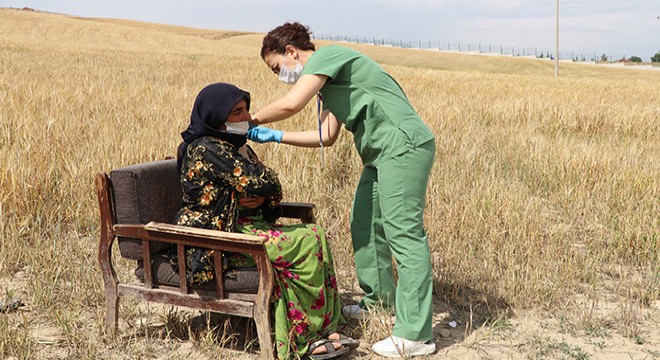 Ankara'da tarım işçilerine tarlada aşı