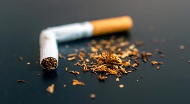 Annesini 'sigara içme' diye uyardığı için öldürmüş
