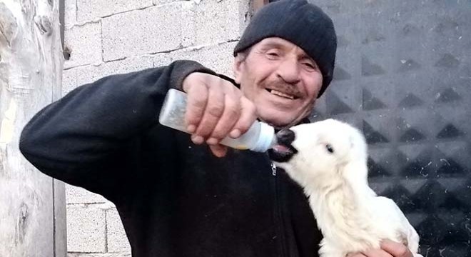 Annesinin kabul etmediği 'Nokta'yı, biberonla besliyor